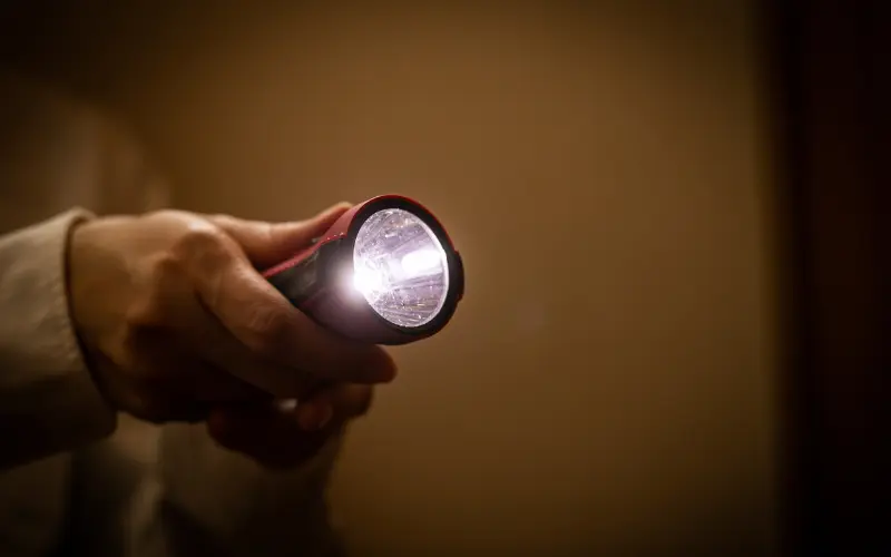 فردی با چراغ قوه نور می‌تاباند، استفاده از روش PRT برای آموزش کودکان اوتیسم.